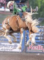 That Famous Preston Night Rodeo cancelled for 2020