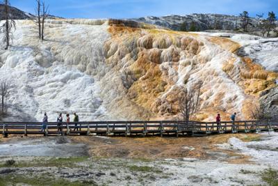 Yellowstone Entrances Reopen (copy)