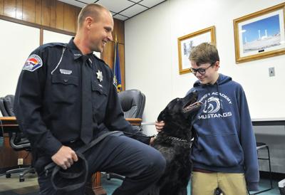 K-9 bulletproof vest check