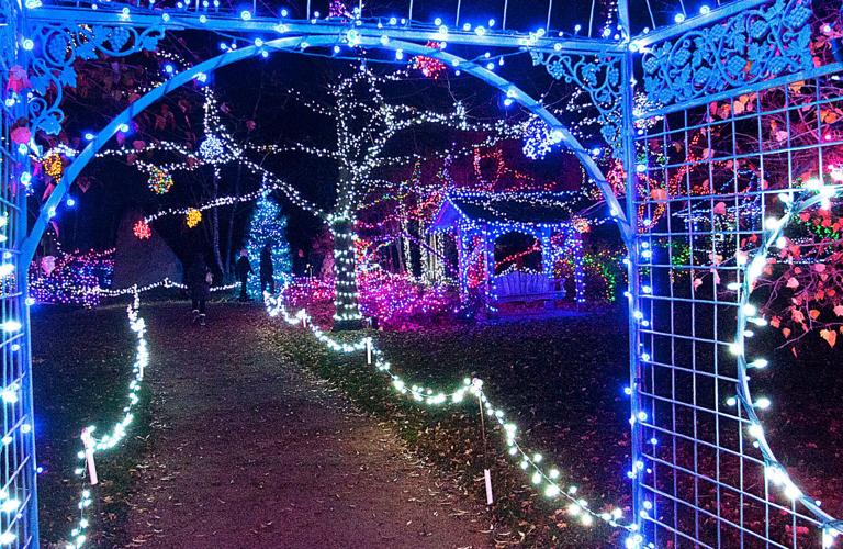 Winter Garden aGlow