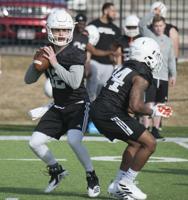 Bengals move on from Tanner Gueller at quarterback, replacement unknown