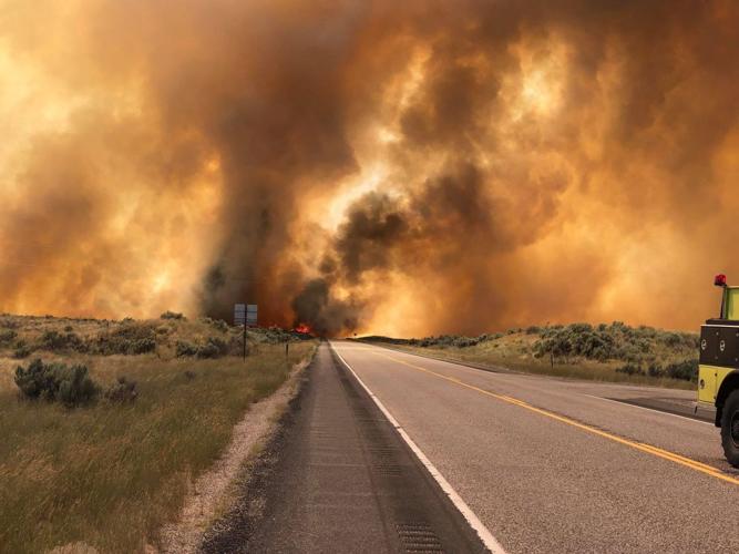 Wildfire