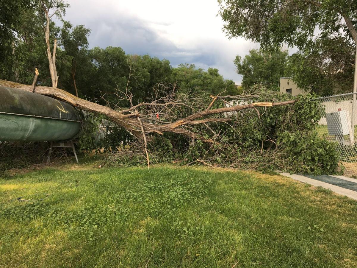 Backyard Bargains Idaho Falls - Backyard Ideas