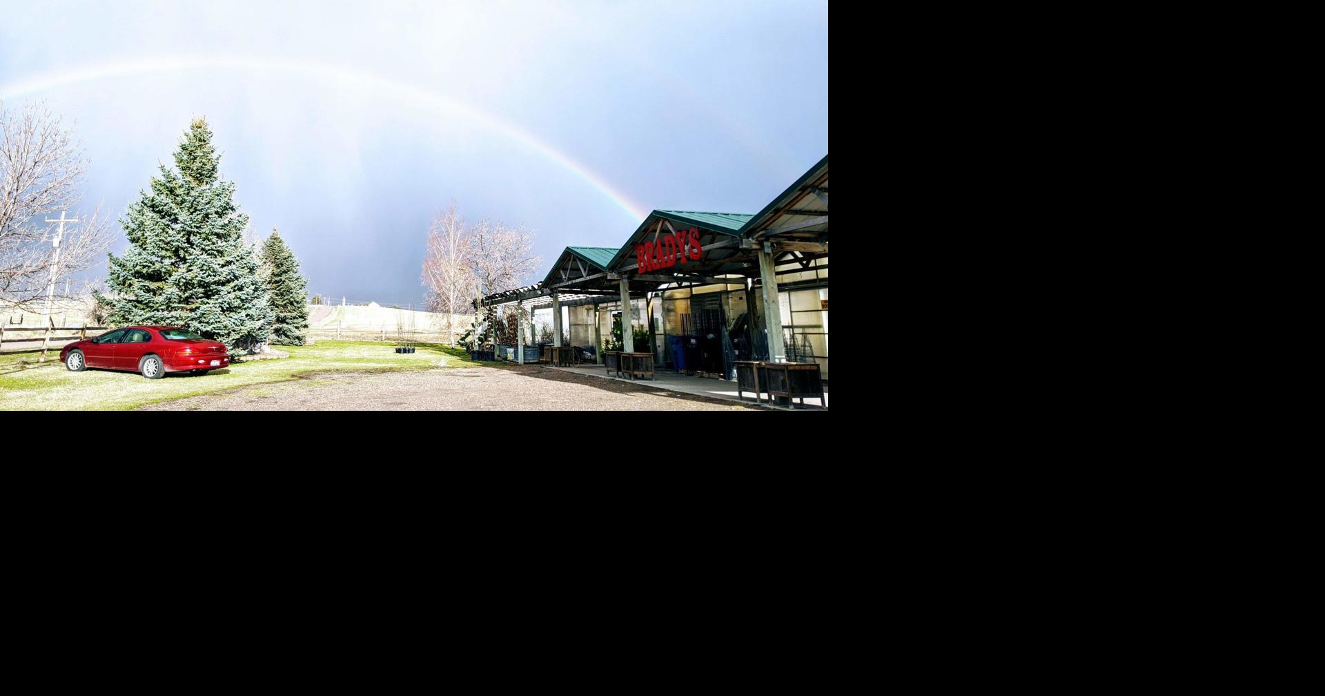 Brady's Plant Ranch sees surge in beef deliveries amid coronavirus ...