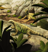 IMNH, ISU researchers upend understanding of turtle origins