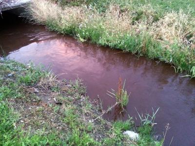Canal contaminate