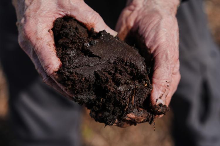 Climate Peatlands Restoration Takeaways
