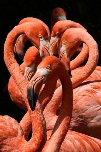 See the world in vertical: Top photos by AP photojournalists