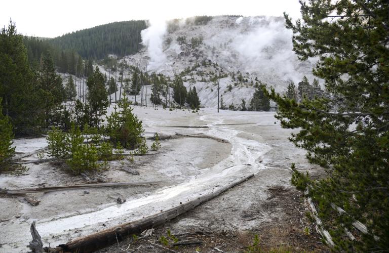Yellowstone National Park File