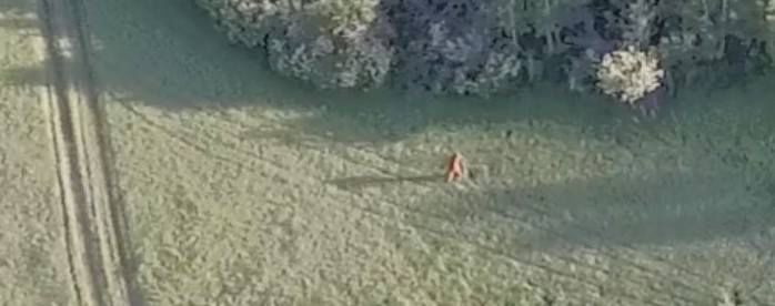 Bigfoot 'spotted' in Colorado in broad daylight — see the video
