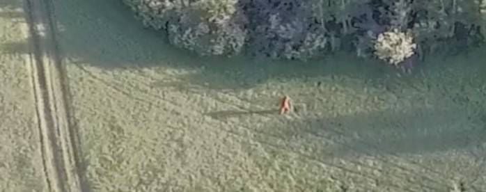 Bigfoot 'spotted' in Colorado in broad daylight — see the video