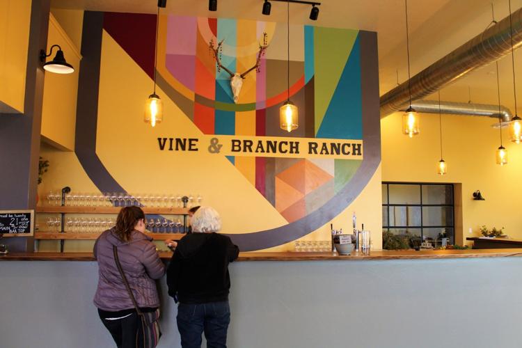 Idaho wineries, vineyards see 'bounceback' year after consistent