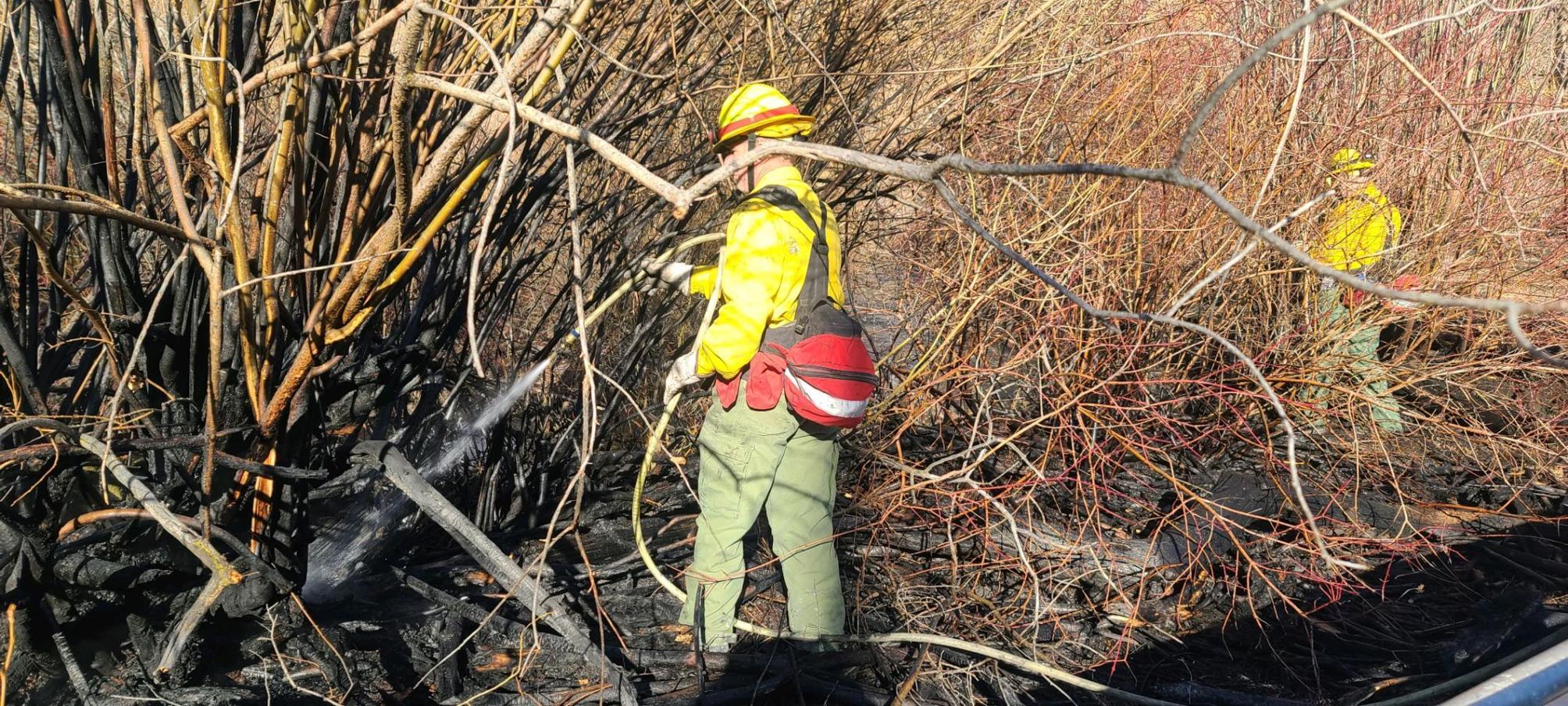 Wind reignites controlled burn, causing brush fire near Inkom