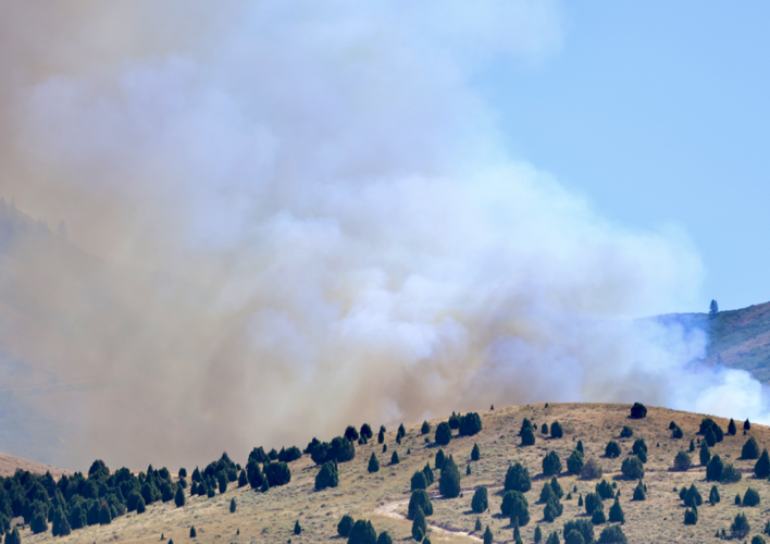Wildfire
