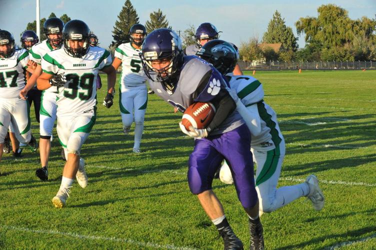 Treyton Young 2017