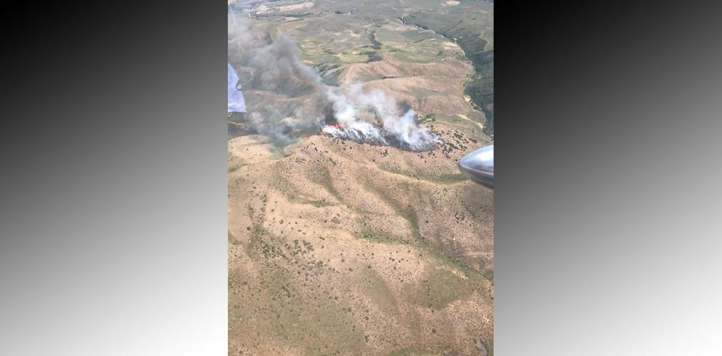 UPDATE Wildfire near Inkom is now 50 percent contained Local