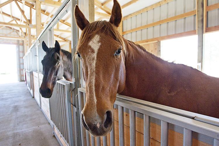 IDAHO STEPS UP Youth Ranch building treatment center after raising