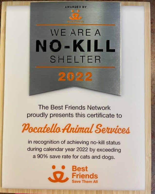 Pocatello Animal Shelter recognized as a no-kill shelter for 2022 |  Community | idahostatejournal.com