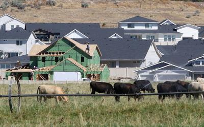 Rural Housing (copy)