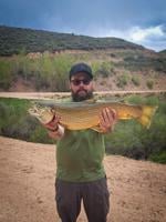 BIG FISH STORIES: Idaho anglers caught several record-breaking fish in 2024
