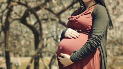 Pregnancy file generic stock