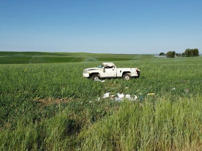 Police Woman Killed Dog Slit Her Own Throat Crashed During Pursuit Local Idahostatejournal Com