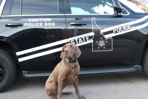 FOUR-LEGGED FENTANYL FIGHTERS: Local K-9 Booster among ISP dogs trained to detect deadly drug