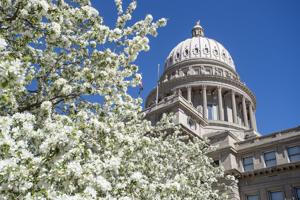 Idaho's school choice tax credit has $7 million balance after first application window