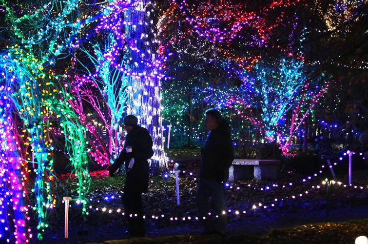 Winter Garden aGlow