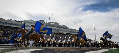 MSU rodeo