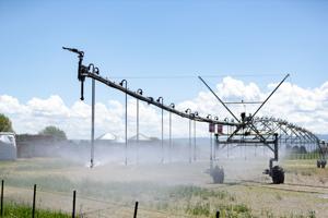 Water shortfall triggers curtailment order for Eastern Snake Plain Aquifer users