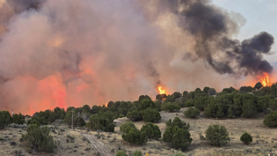 Wildfire