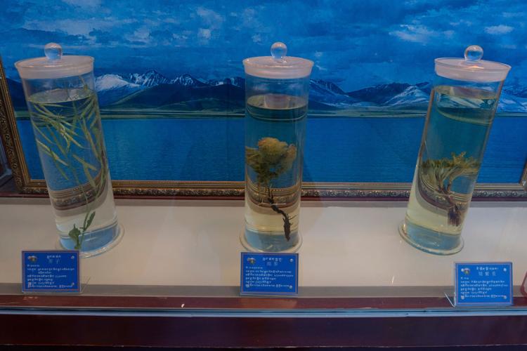 China Tibetan Medicine Photo Gallery