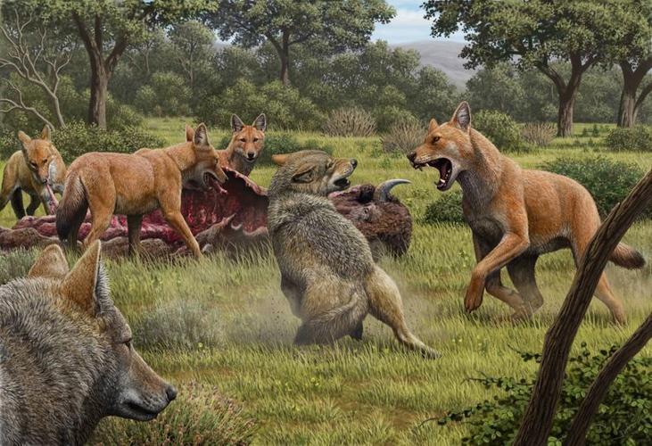DIRE WOLF PAINTING