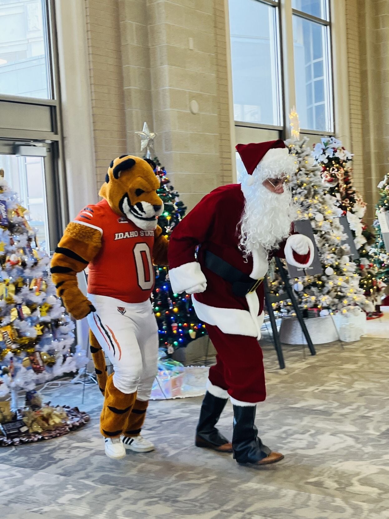 Festival of Trees