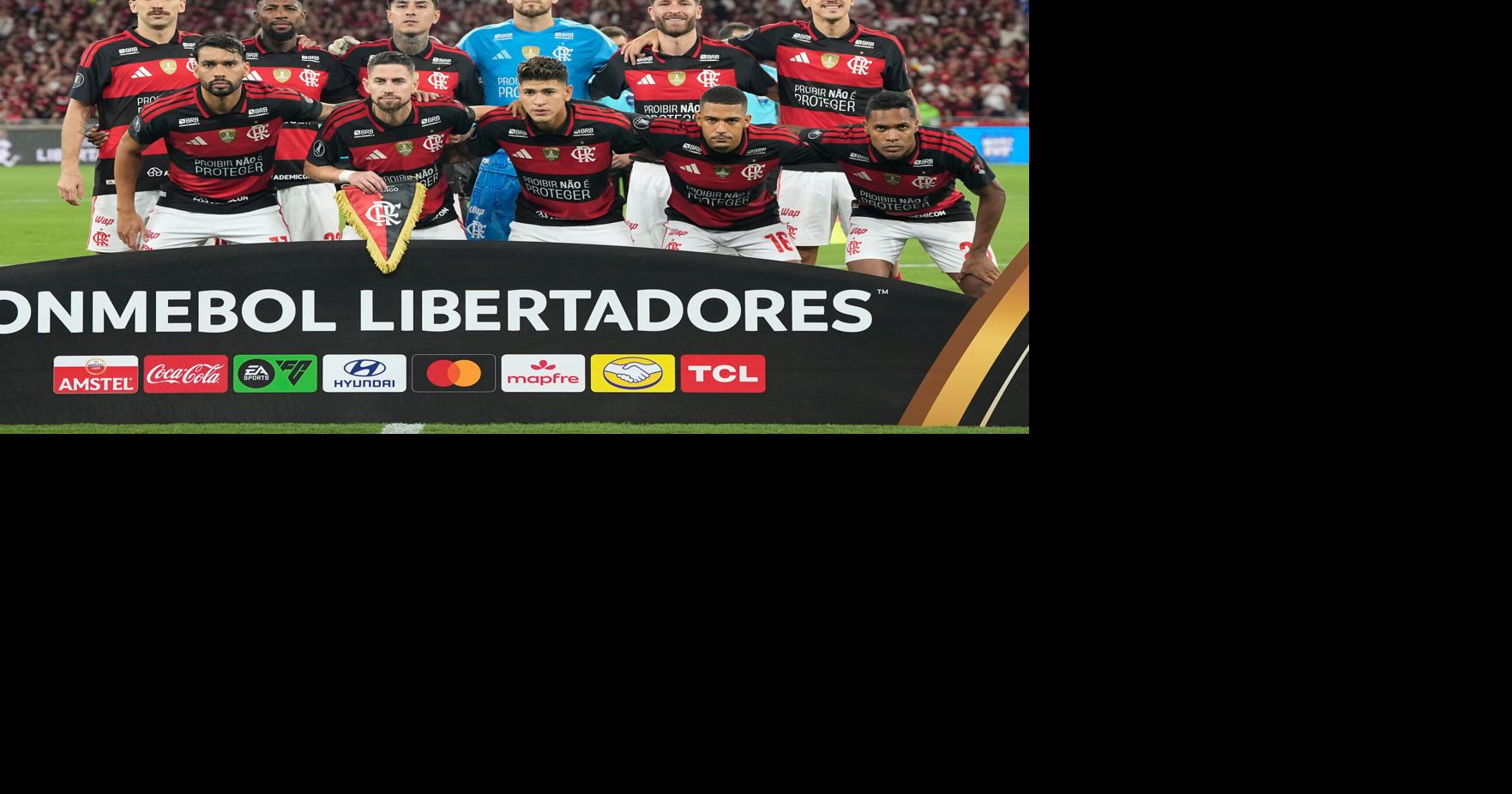 Brazil Argentina Copa Libertadores Soccer | National ...