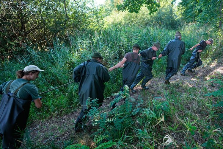 Photos show European fishers on the brink as summer drought parches rivers, lakes and farms