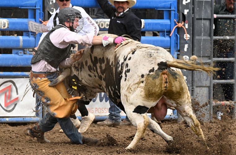 bull riding_2341.jpeg