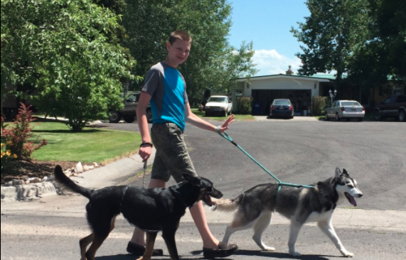 James’ Dog Walking Business