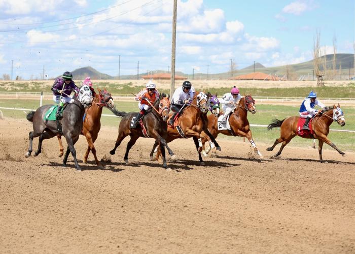 PHOTO GALLERY Horse racing at Pocatello Downs Freeaccess