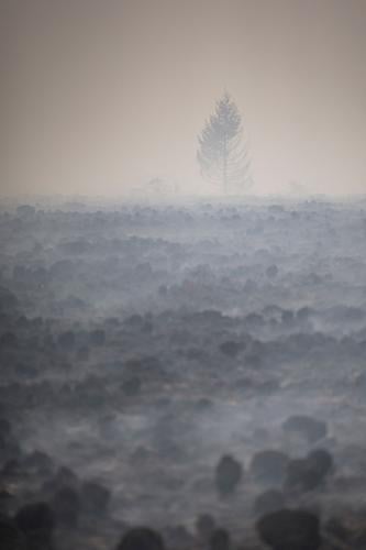 See the world in vertical: Top photos by AP photojournalists