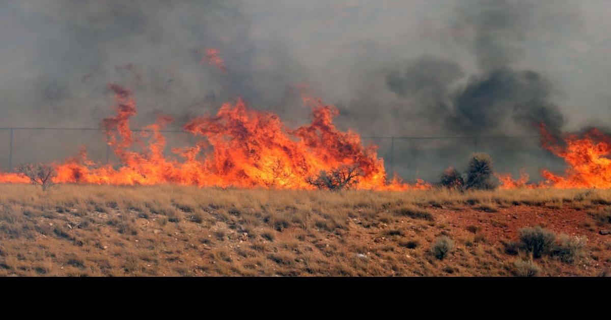 Firefighters extinguish brush fire along I15 between Pocatello and