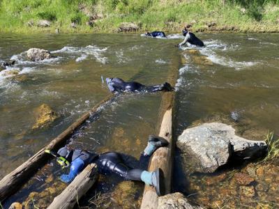 An Idaho snorkel crew climbs over logs.