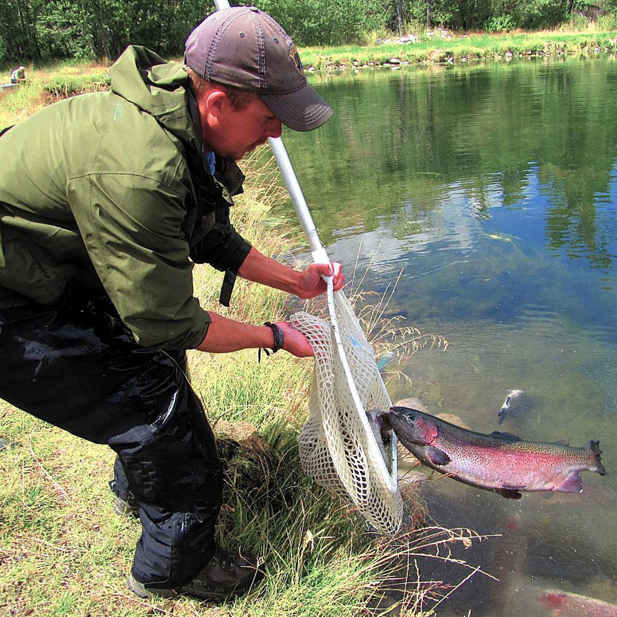 November trout stocking schedule for the Southeast Region | Local | idahostatejournal.com November trout stocking schedule for the Southeast Region | Local | idahostatejournal.com