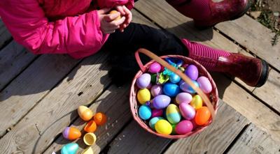 Egg hunts
