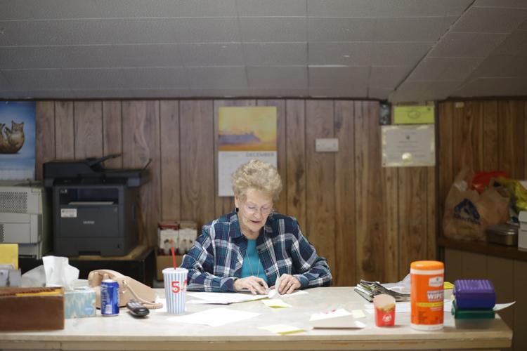 Photo Gallery Idaho Livestock Auction Sold News