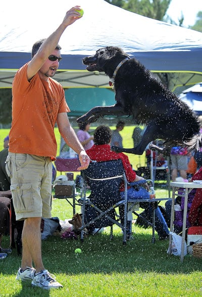Dogapoolooza