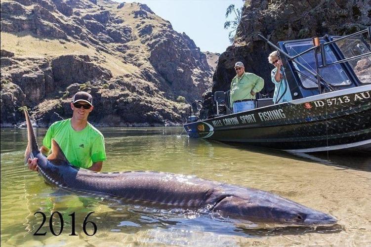 RIVER MONSTER: Man with local ties again lands massive Snake River