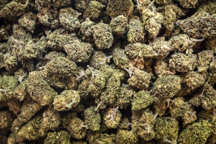 Medical Marijuana02.JPG (copy)