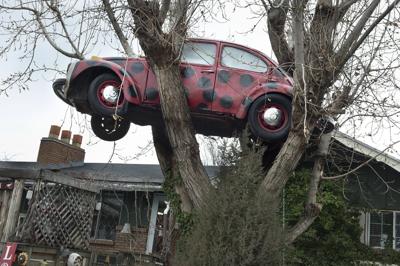 Car in Tree